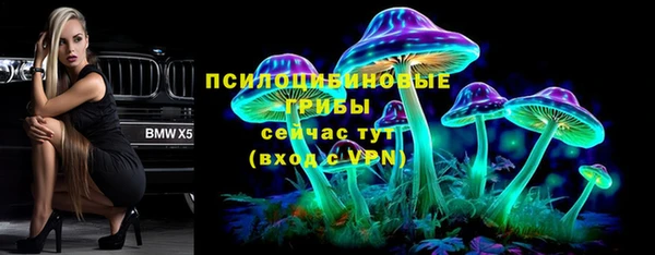 шишки Зерноград