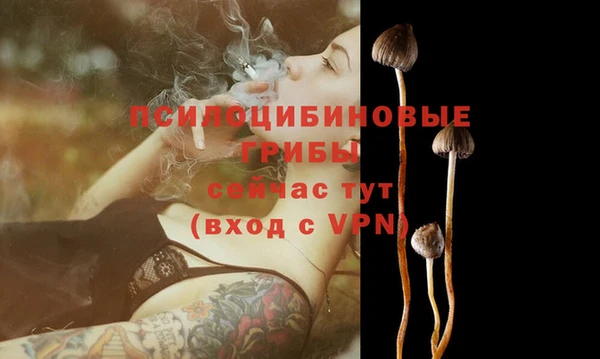 шишки Зерноград