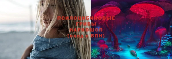 шишки Зерноград