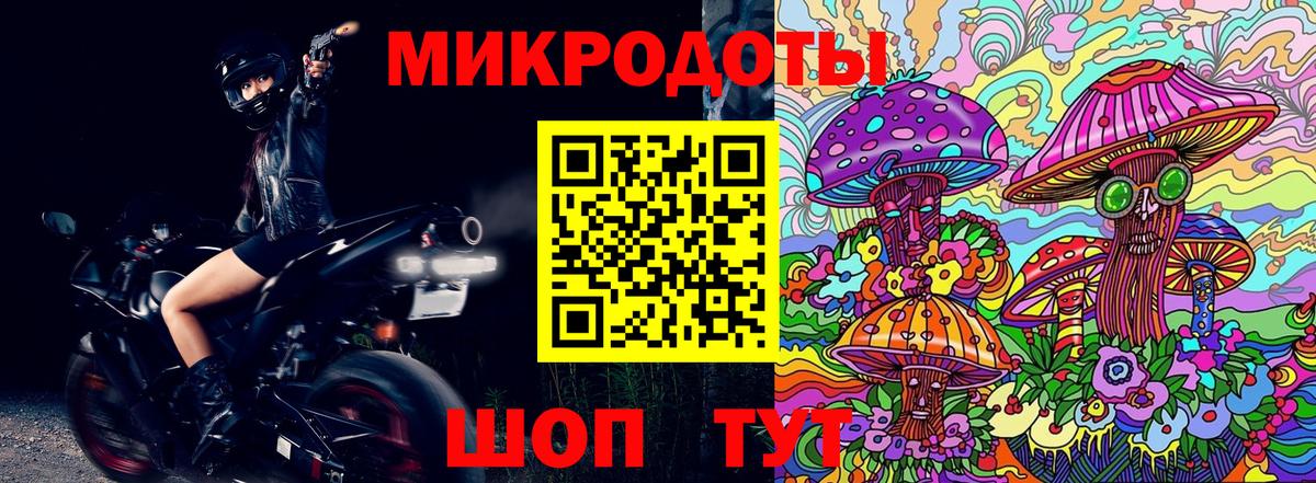 Псилоцибиновые грибы Psilocybine cubensis Смоленск